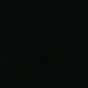 Meet your Posher, Larry